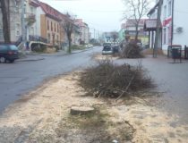 20171216_130502 (Medium)