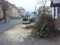 20171216_130519 (Medium)