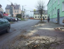 20171216_130637 (Medium)