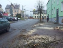 20171216_130637 (Medium)