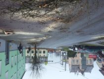 20171216_130639 (Medium)