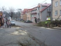 20171216_130712 (Medium)