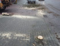 20171216_130725 (Medium)