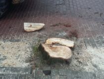 20171216_130732 (Medium)