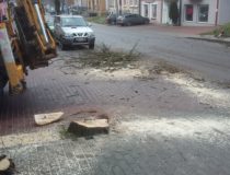 20171216_130741 (Medium)