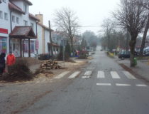 20171216_130828 (Medium)