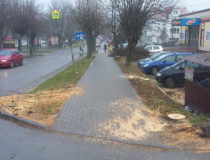 20171216_131111 (Medium)