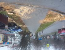 20171216_131111 (Medium)