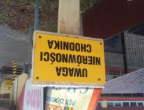 20171216_131118 (Medium)