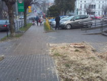 20171216_131159 (Medium)