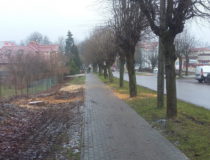 20171216_131321 (Medium)