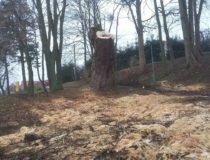 20171216_131640 (Medium)