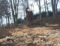 20171216_131640 (Medium)